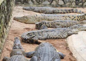 Whatsapp image 2023 02 27 at 6.55.46 pm