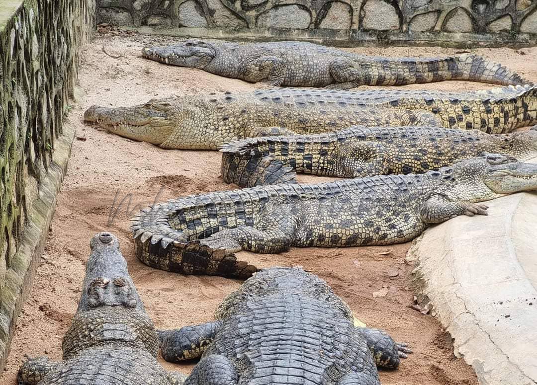 Whatsapp image 2023 02 27 at 6.55.46 pm