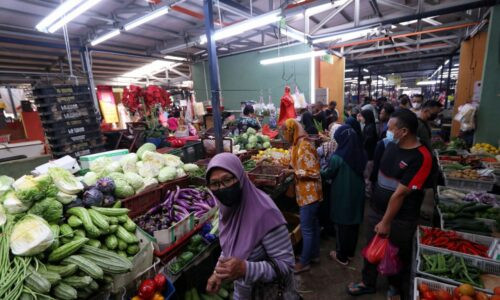 Bekalan kurang, harga sayur naik sehingga 20 peratus