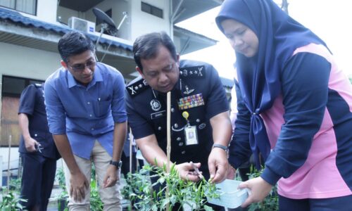 Polis Melaka tanam cili guna IoT