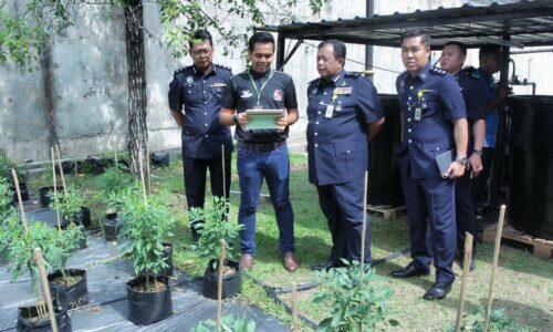 Boleh jadi petani dengan teknologi di hujung jari