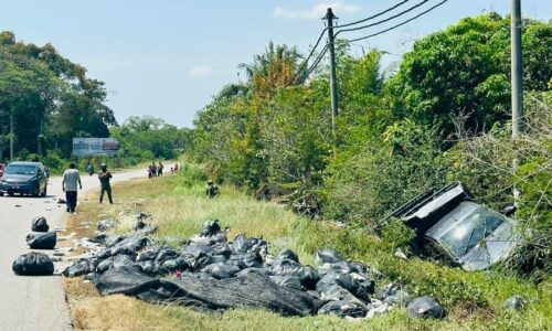 Tentera Darat tumpas sindiket seludup daun ketum