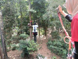 Skytrex 1