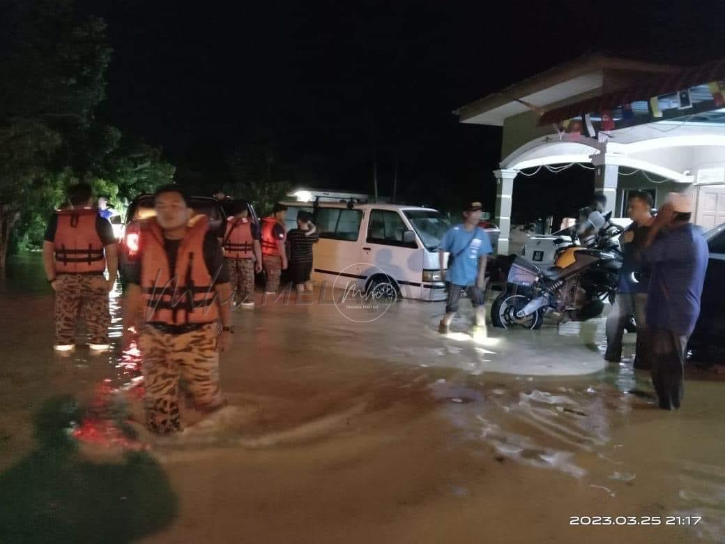 06f75898 c6c8 494c 8546 b43fc6da2134