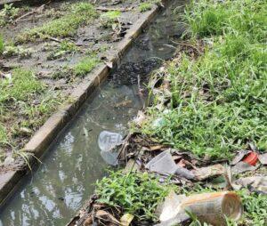 244d9cd2 b7d9 4342 87eb 65a953470fcb