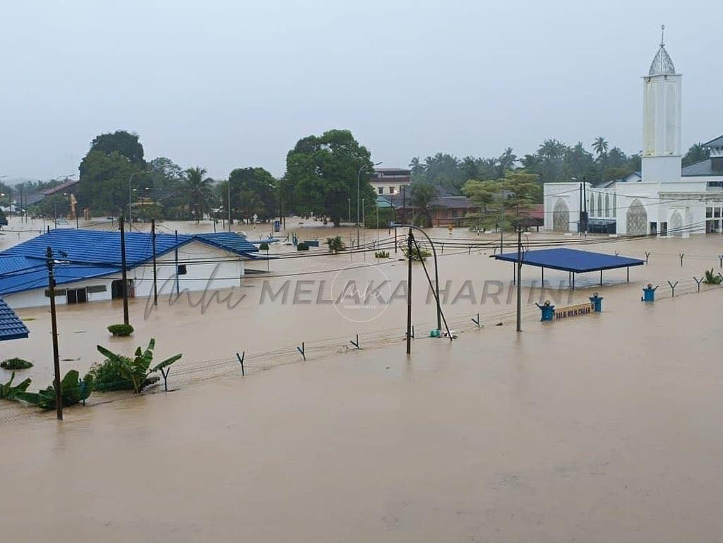 334262543 1684722755320470 7389578160589774163 n