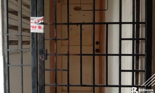 Polis tahan penyewa lelaki terlibat kes penemuan puluhan bangkai kucing