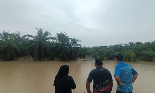 Banjir: Hampir 500 mangsa di Melaka dipindahkan