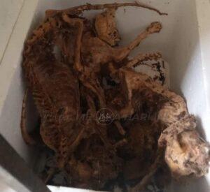 Screenshot 2023 03 25 11 48 59 862 edit com.facebook.katana