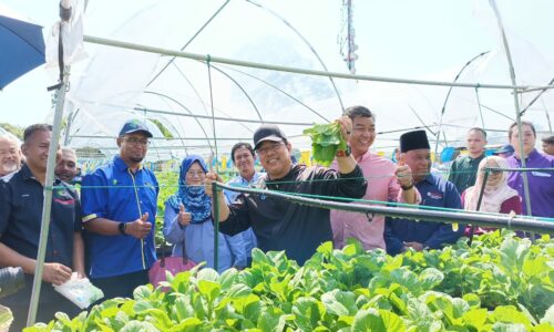 Keterjaminan makanan Melaka satu keutamaan – KM