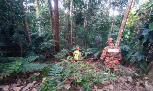 Lelaki hilang ketika mendaki Bukit Beruang