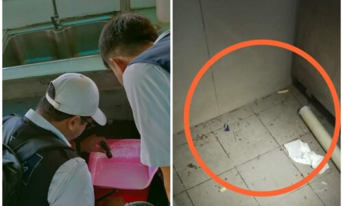 Hotel ‘ternak’ jentik-jentik, kotor