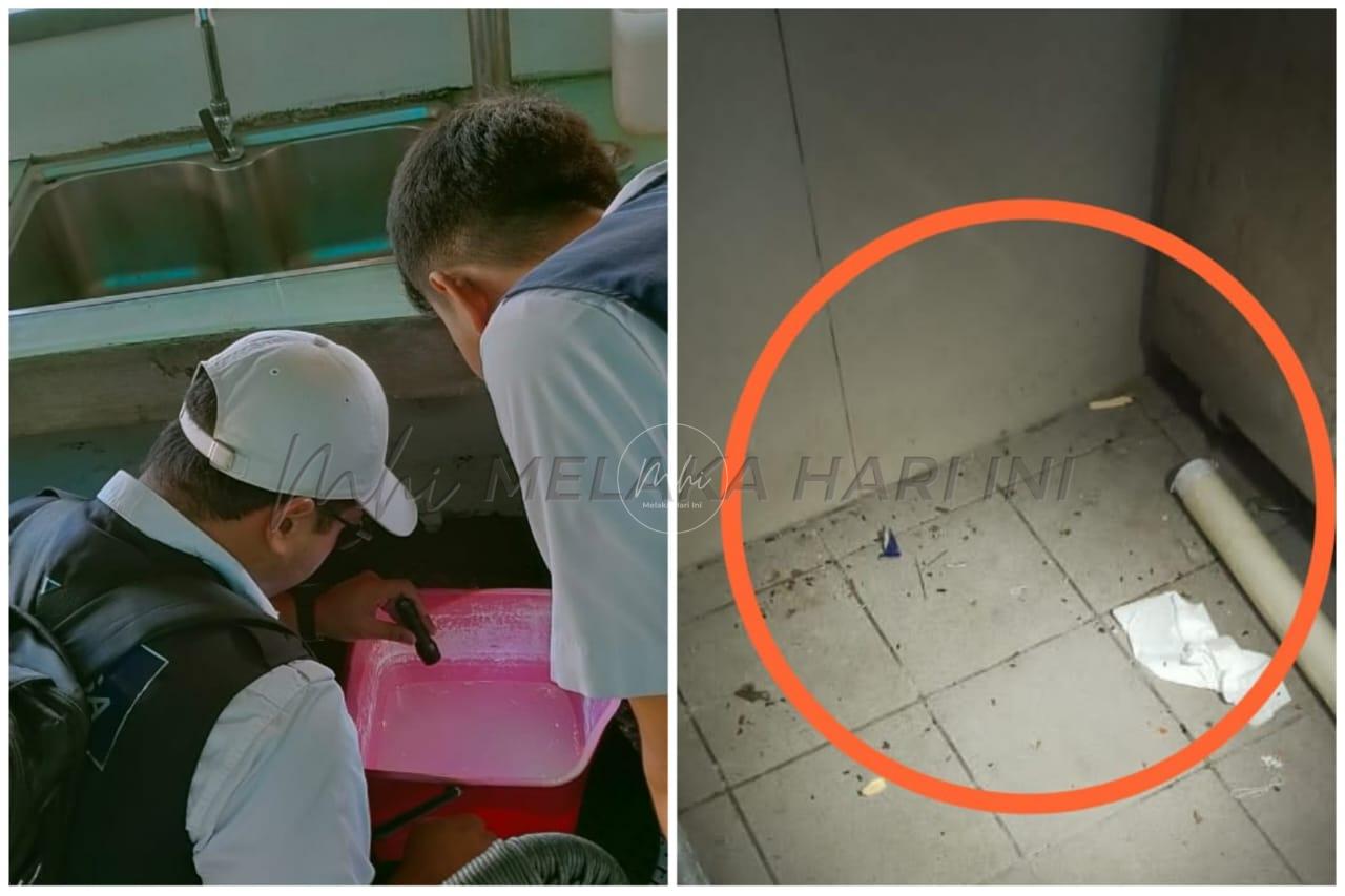 Whatsapp image 2023 03 17 at 11.54.00