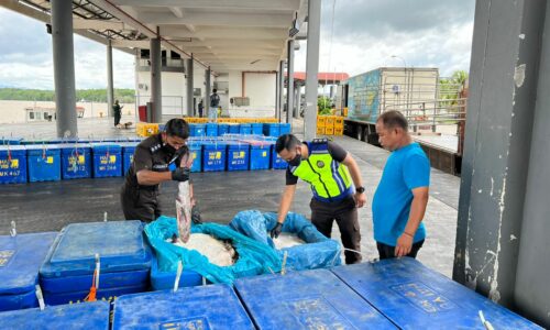 MAQIS Kuala Linggi pintu masuk bekalan ikan, udang negara jiran