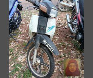 Monyet motosikal