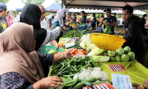 Melaka Agro Market capai jualan RM1.15 Juta