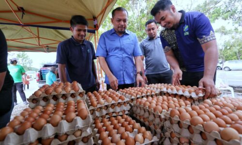 Melaka cukup bekalan telur ayam sepanjang Ramadan – FAMA