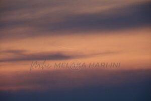 Photo 6113637495339071385 y