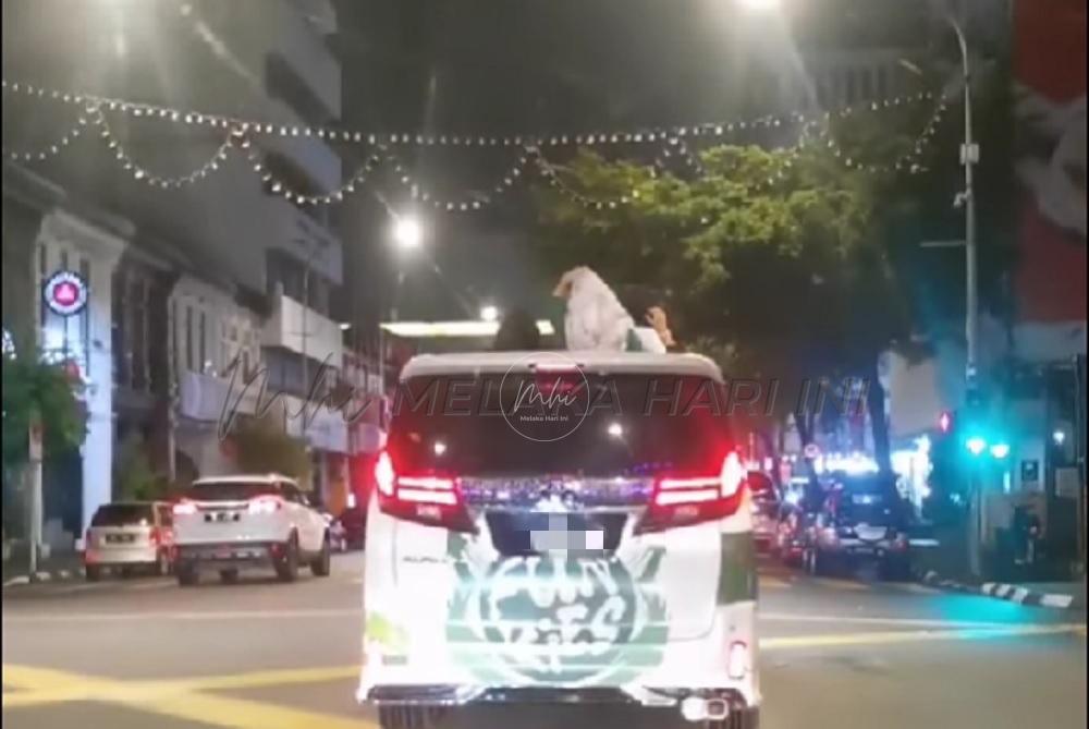 Tular kepala keluar