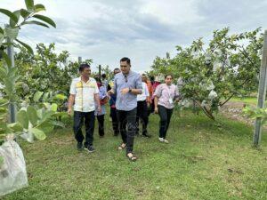 339901286 1298685190996521 8562367236244895957 n