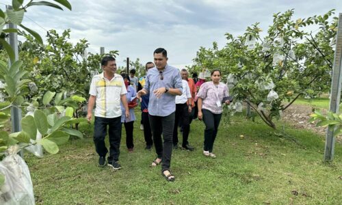 Pertanian Melaka perlu sejajar perkembangan teknologi – Exco