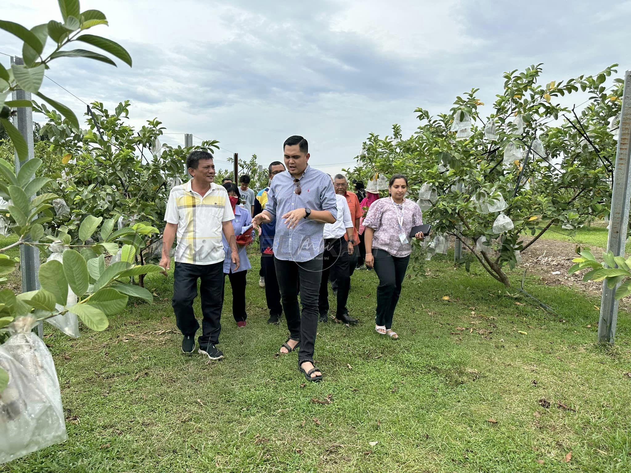 339901286 1298685190996521 8562367236244895957 n