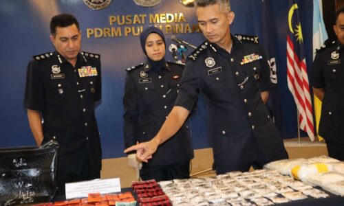 Lelaki ditahan bersama pelbagai jenis dadah bernilai RM227, 914