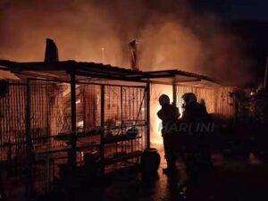 340634548 683822630180002 4718495798355510765 n