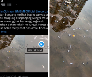 45d8a537 b90b 4a7d 9052 c3bf3238d00b