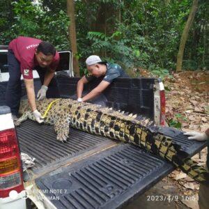 A1183f9d e2e6 4708 b3c5 7f7fc65bb0e7