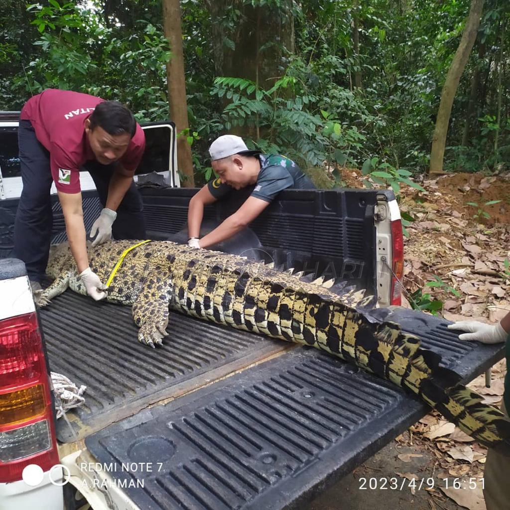 A1183f9d e2e6 4708 b3c5 7f7fc65bb0e7