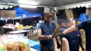 C21eb03c 5a17 4a8a 945a e23db1673430