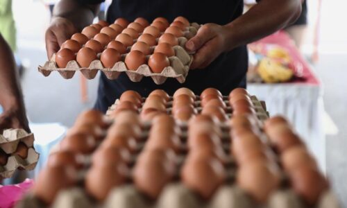 Bekalan telur ayam di Pantai Timur mencukupi menjelang Aidilfitri esok – Salahuddin