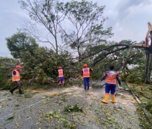 E7c0b784 68d4 42b1 aaf6 aabdcd11a7eb