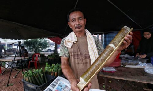 Resipi bapa mentua, lariskan jualan lemang