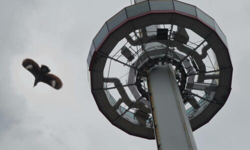 Menara Taming Sari sasar 6,000 pengunjung Aidilfitri ini