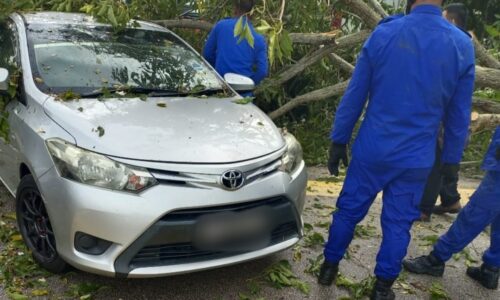 Enam kenderaan rosak ditimpa pokok tumbang