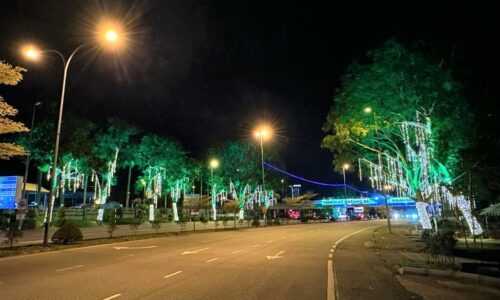 Peruntukan RM700,000 pasang lampu warna-warni – MBMB