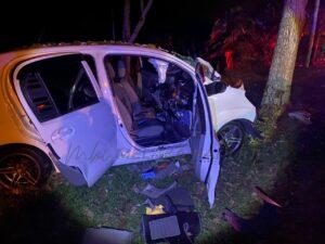 Whatsapp image 2023 04 14 at 12.37.33