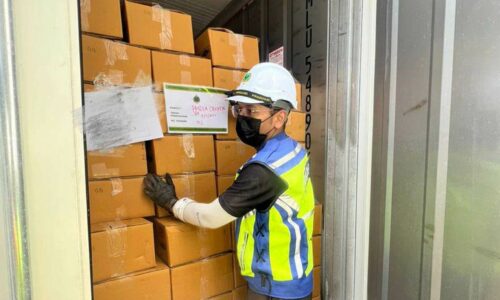 MAQIS P.Pinang rampas dada ayam sejuk beku bernilai RM240,000