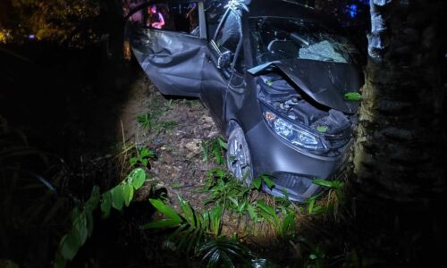 Kereta masuk gaung, cuba elak anjing