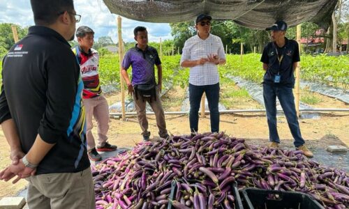 Melaka bakal perkenal ‘farming mapping’