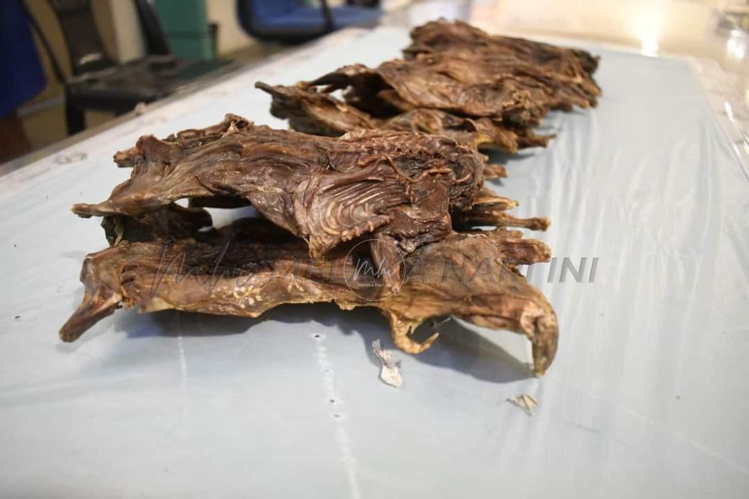 Whatsapp image 2023 05 18 at 11.24.53 am