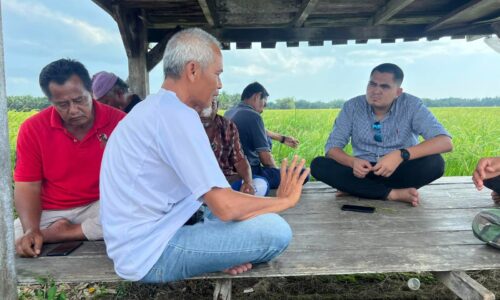 Panas berpanjangan, pesawah perlu tangguh penanaman padi – Exco