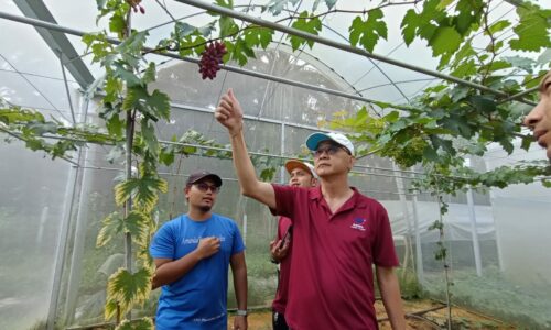 Keindahan alam, sejarah lama keunikan Masjid Tanah