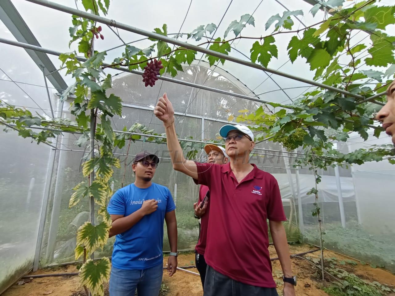 Whatsapp image 2023 05 26 at 11.20.13 am (2)