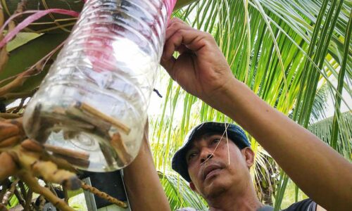 Air nira ‘made in’ Masjid Tanah