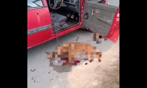 Warga emas ditahan disyaki ikat, heret anjing dengan kereta hingga mati