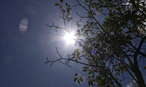 Cuaca panas: Masjid dan surau di Johor laksana solat hajat esok