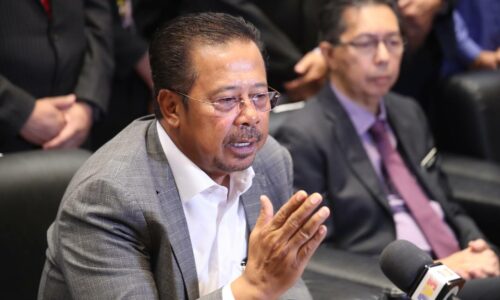 Bina jalan ‘elevated’ elak kerosakan alam sekitar